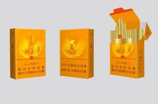 降临:异世界降临现实:本文评点异世界降临现实之谜