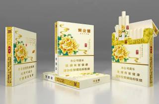 七十元可以买啥烟好抽2025年展示，专业叙述七十元好烟推荐