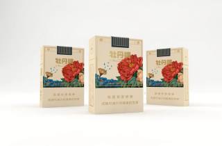 有什么好抽的冰烟品牌2025年汇集，深度介绍冰烟好抽品